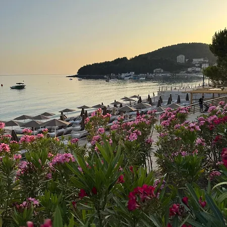 Kalesma Appartamento