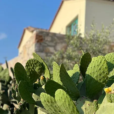 Kalesma Appartement *